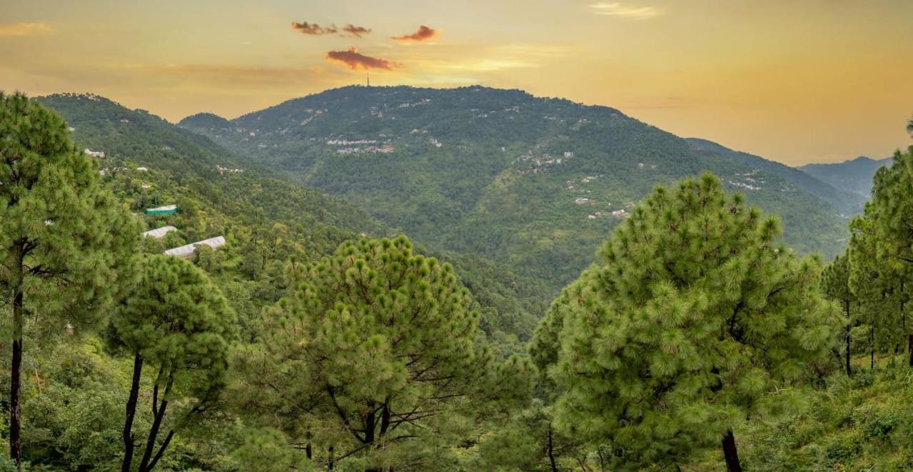 The Western Heights I Serviced Apartments I Pvt Balcony I Lift I Peacefull Area I Family Accomodation I Kasauli I By Exotic Stays Ngoại thất bức ảnh