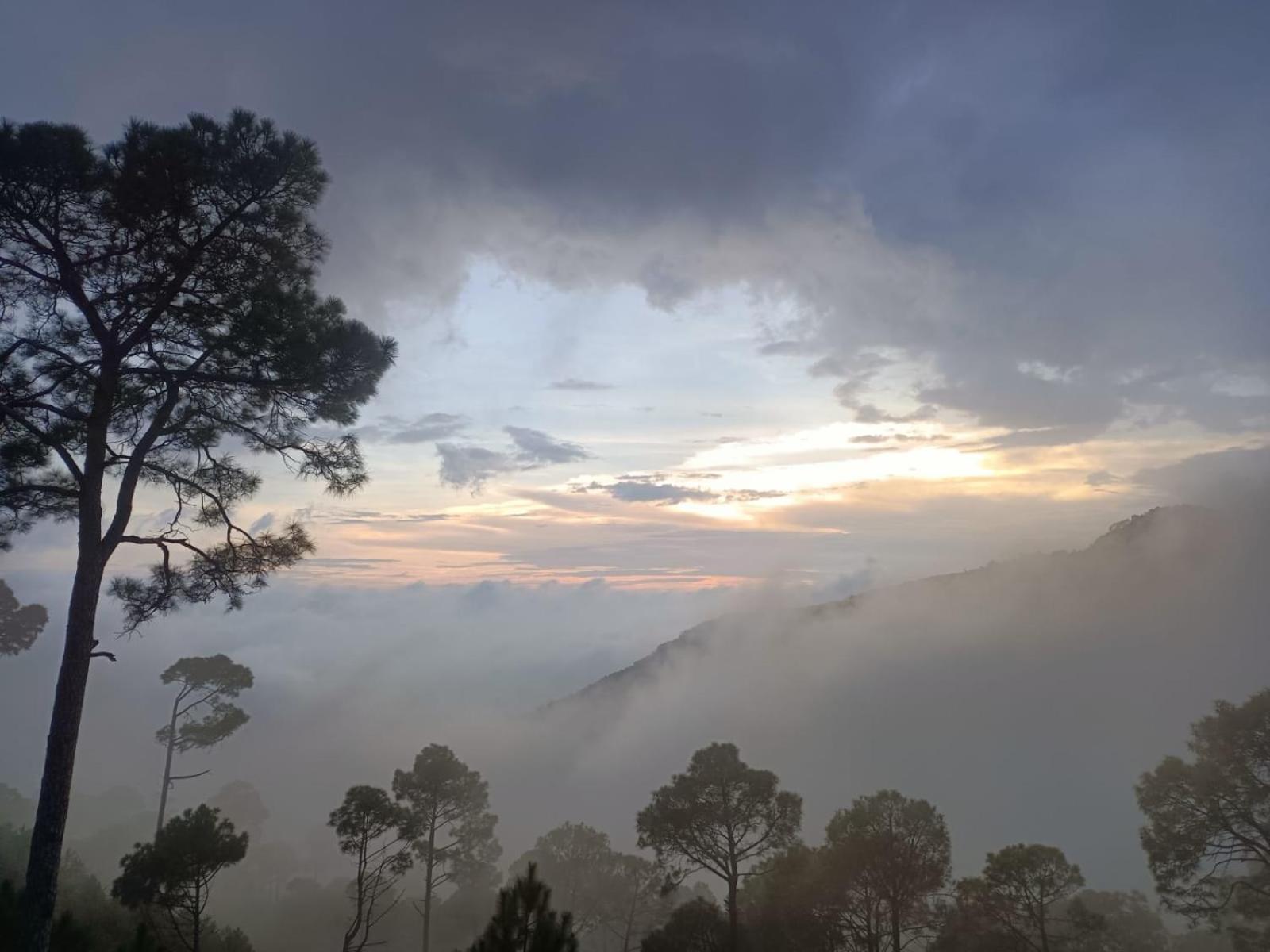 The Western Heights I Serviced Apartments I Pvt Balcony I Lift I Peacefull Area I Family Accomodation I Kasauli I By Exotic Stays Ngoại thất bức ảnh